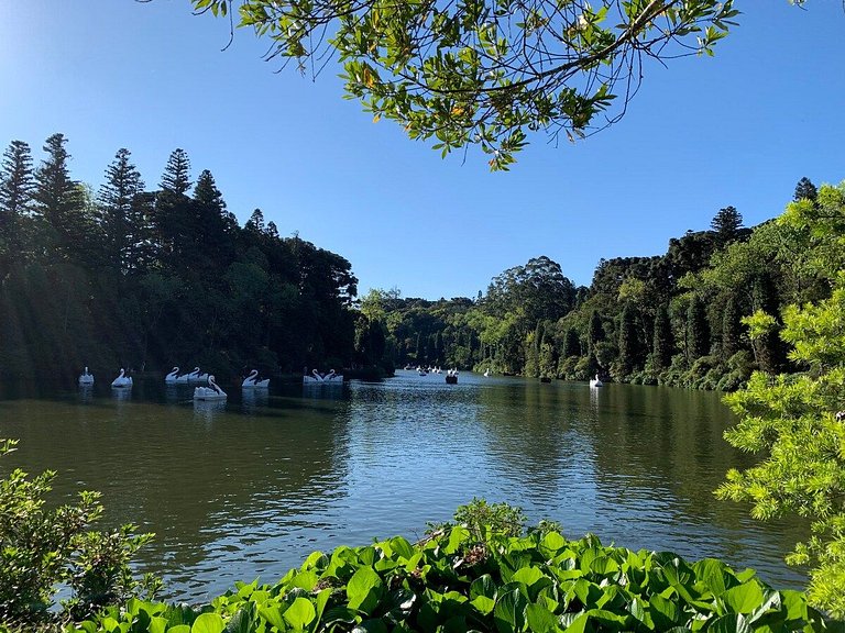 500m LAGO NEGRO 2 QTOS p/ FAMÍLIAS em CONDOMÍNIO