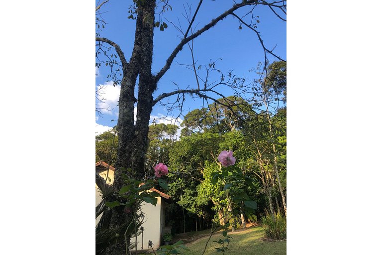 Sítio p  RELAXAR CONECTAR C NATUREZA  PET FRIENDLY