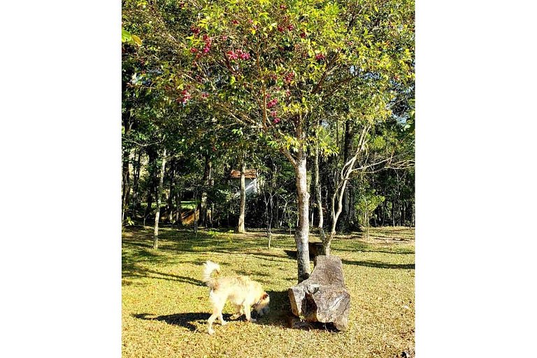 Sítio p  RELAXAR CONECTAR C NATUREZA  PET FRIENDLY
