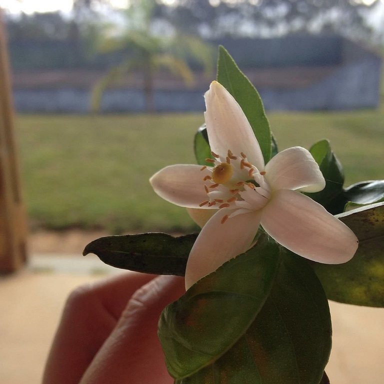 Refúgio na natureza para 04 pessoas