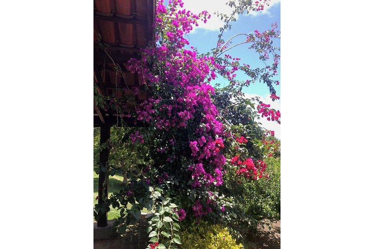 Refúgio na natureza para 04 pessoas