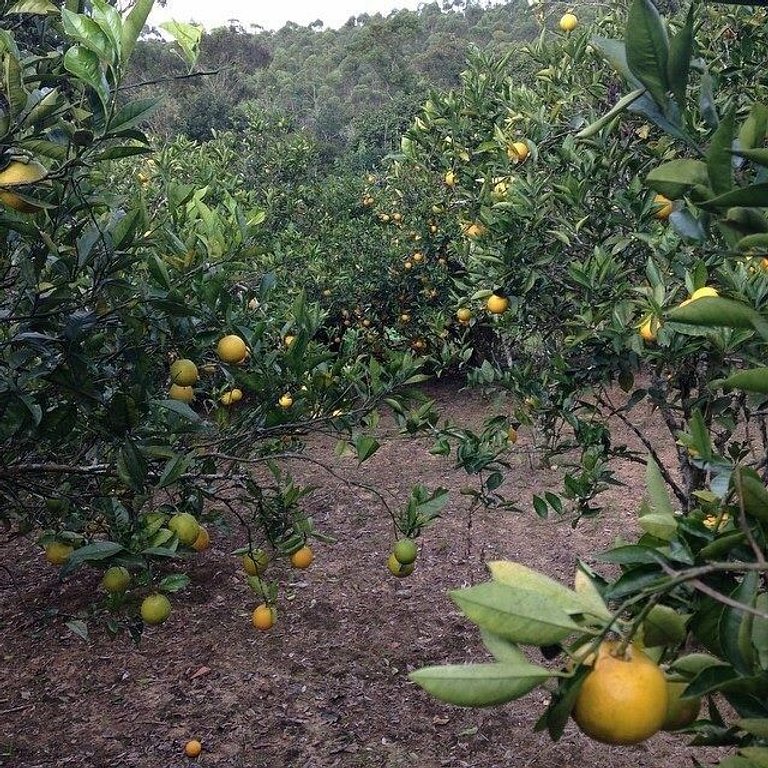 Refúgio na natureza para 04 pessoas