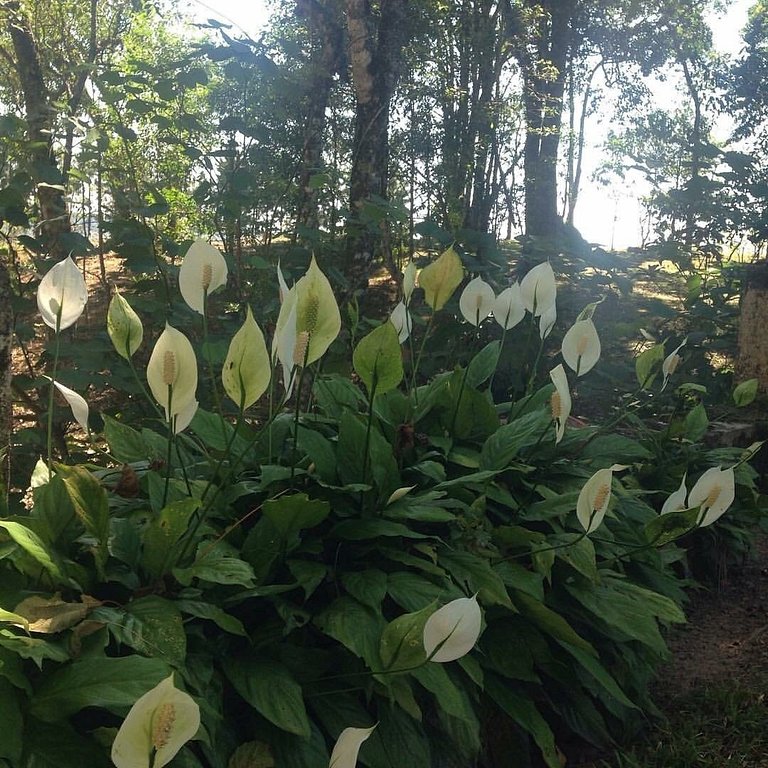 Refúgio na natureza para 04 pessoas